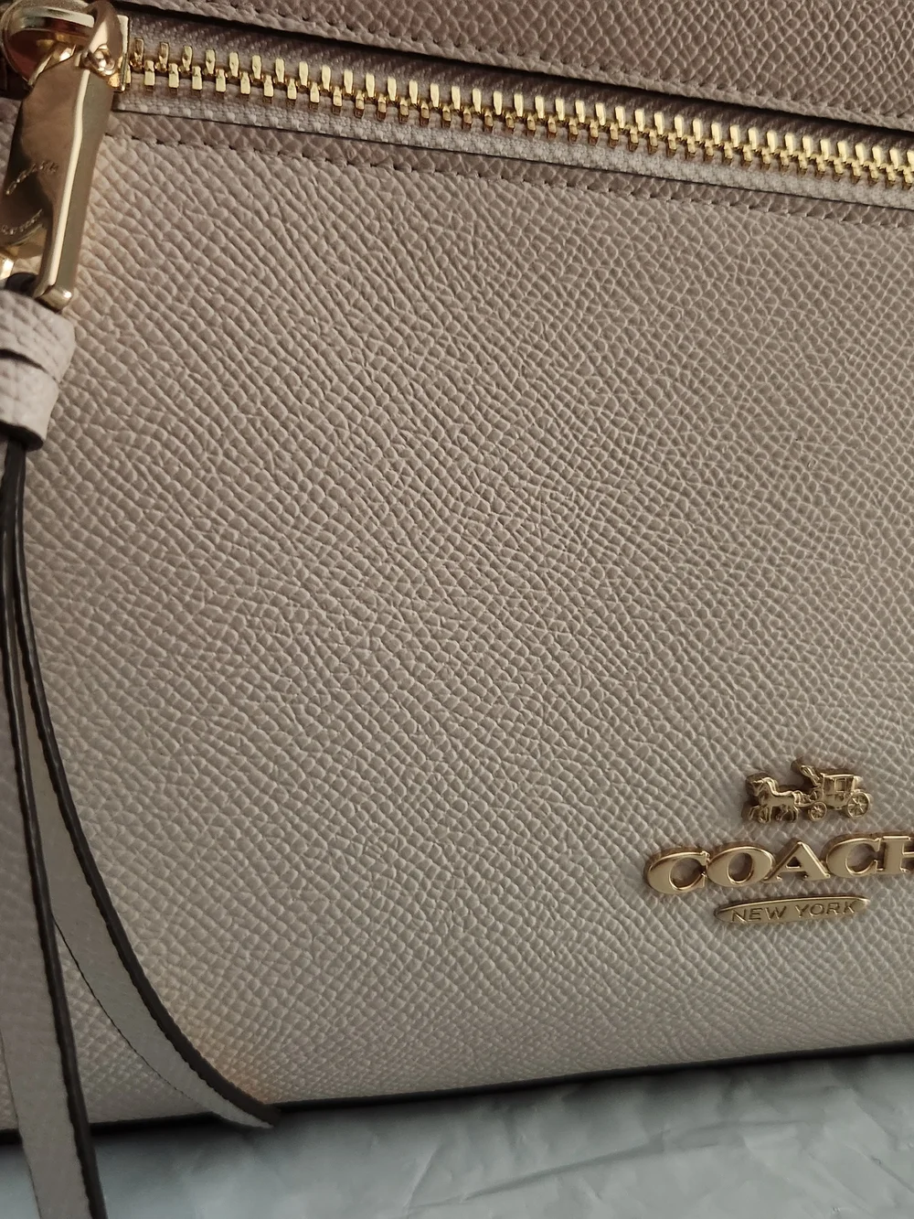 Coach elegant backpack